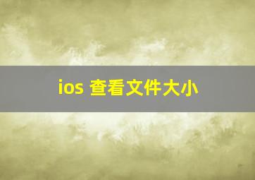 ios 查看文件大小